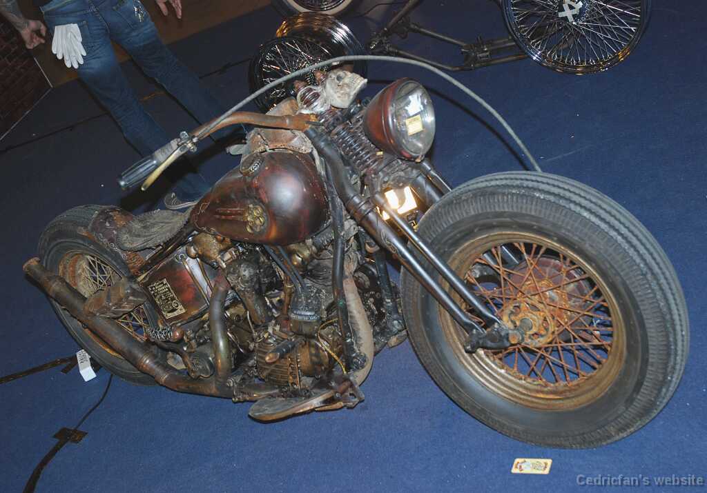 DSC_1733