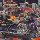 DSCF1008