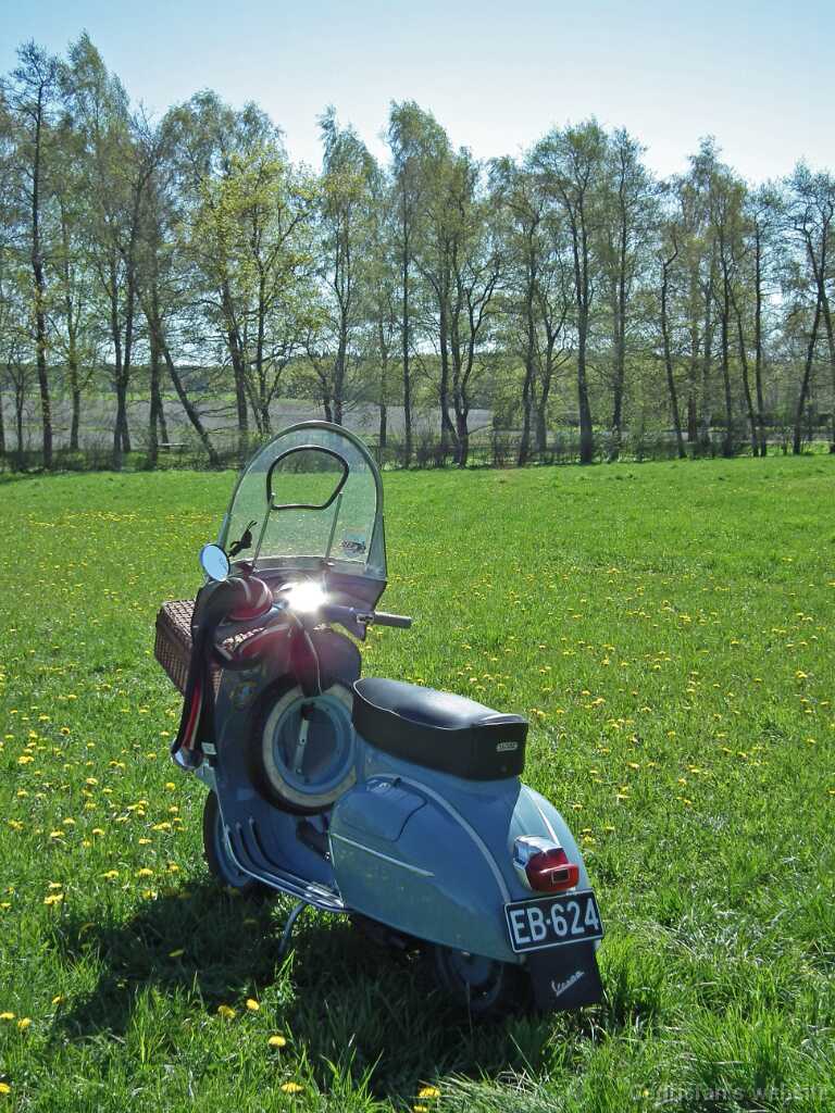 VespatNaantalissa1