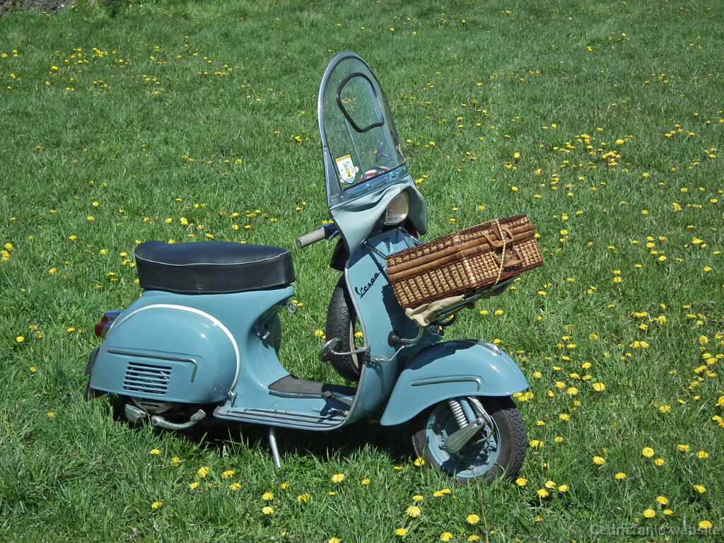 VespatNaantalissaD