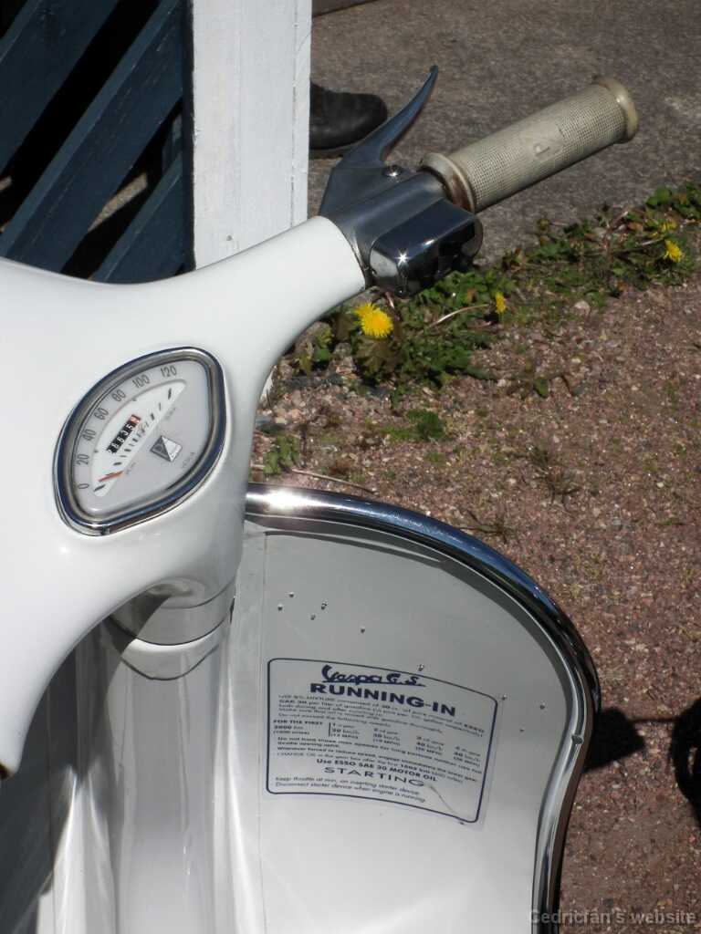 VespatNaantalissaZ