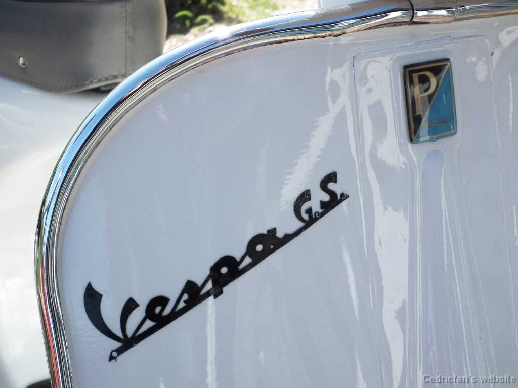VespatNaantalissaZ3