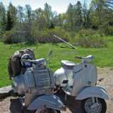 VespatNaantalissaB