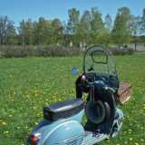VespatNaantalissaF