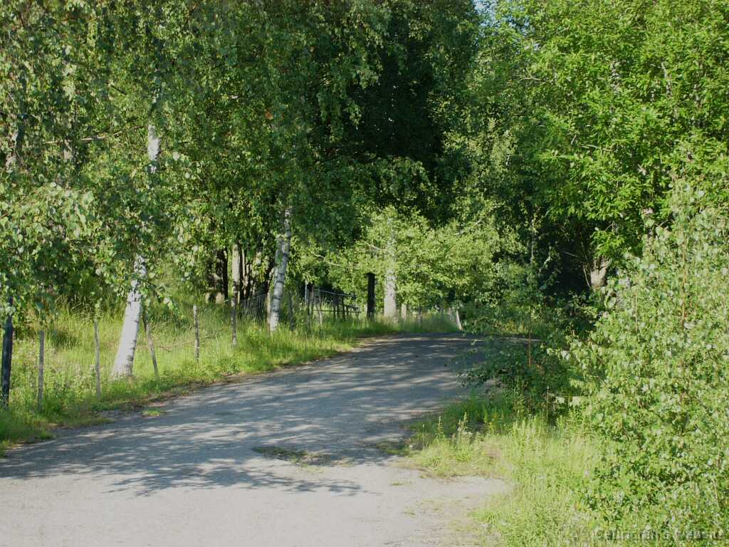 L1010532