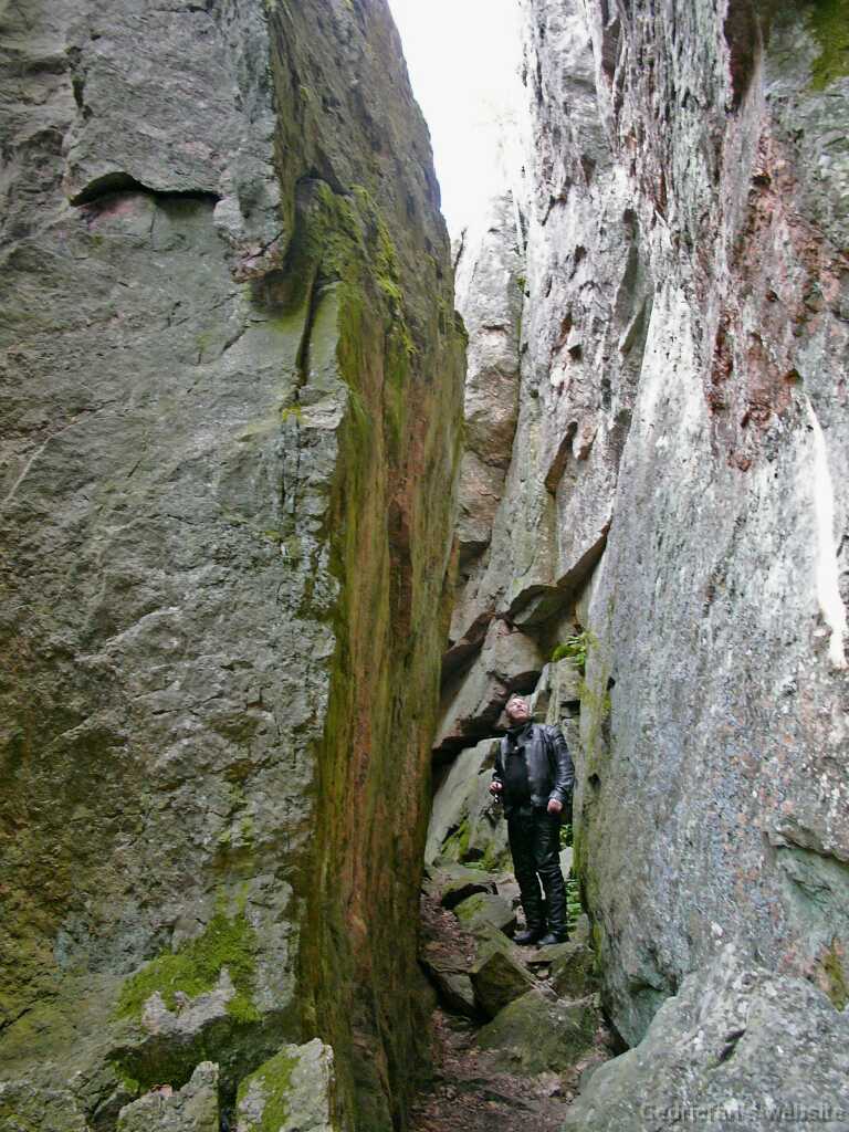 L1000678