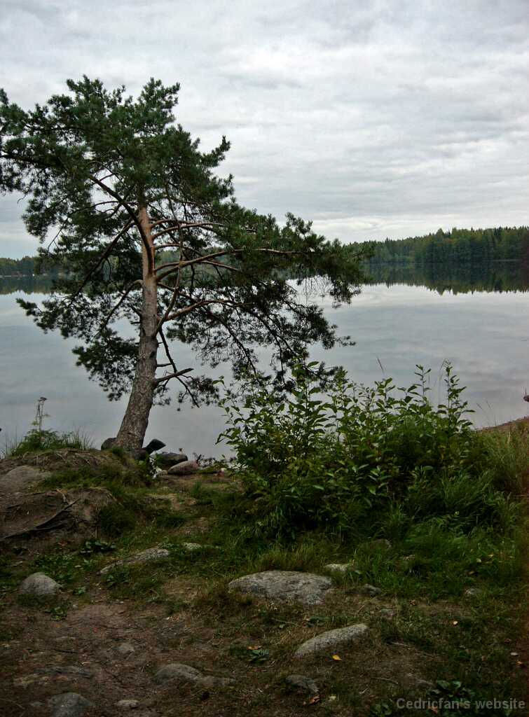 L1000649