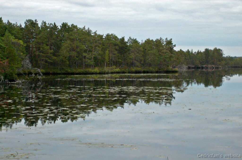 L1000650