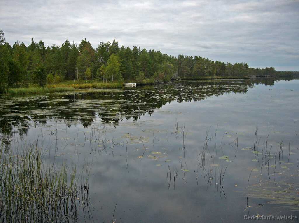 L1000654