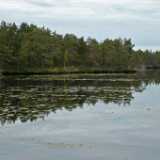L1000650