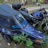 DSCF6937