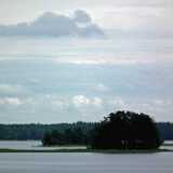DSCF6895