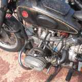 DSCF4184