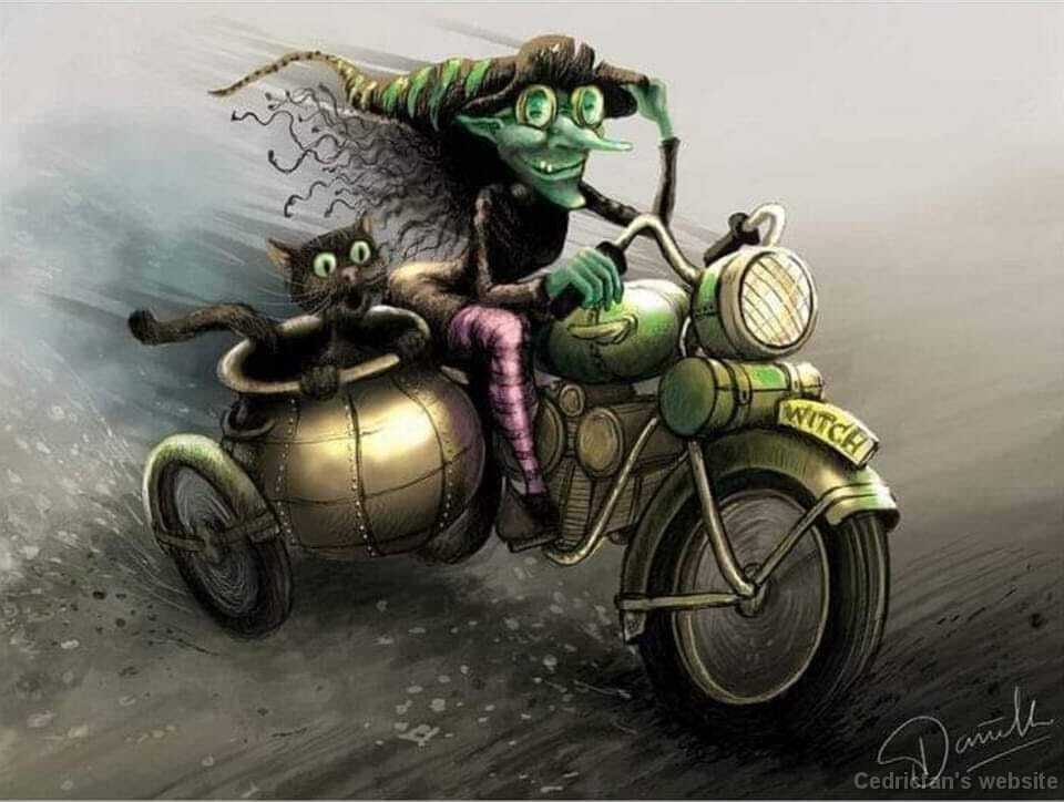 Witch-n-cat