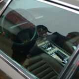 DSCF8199
