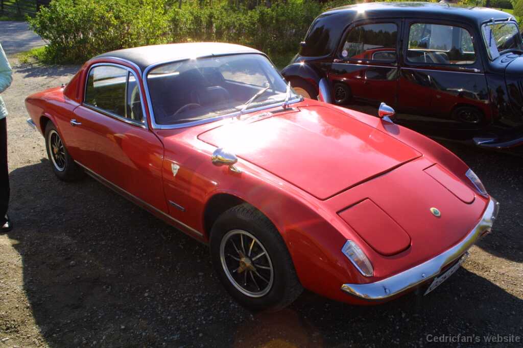 03lotus