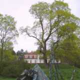 39KalevalaStatue