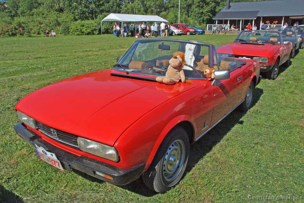 P504cabrio_Saksa_Leijonat