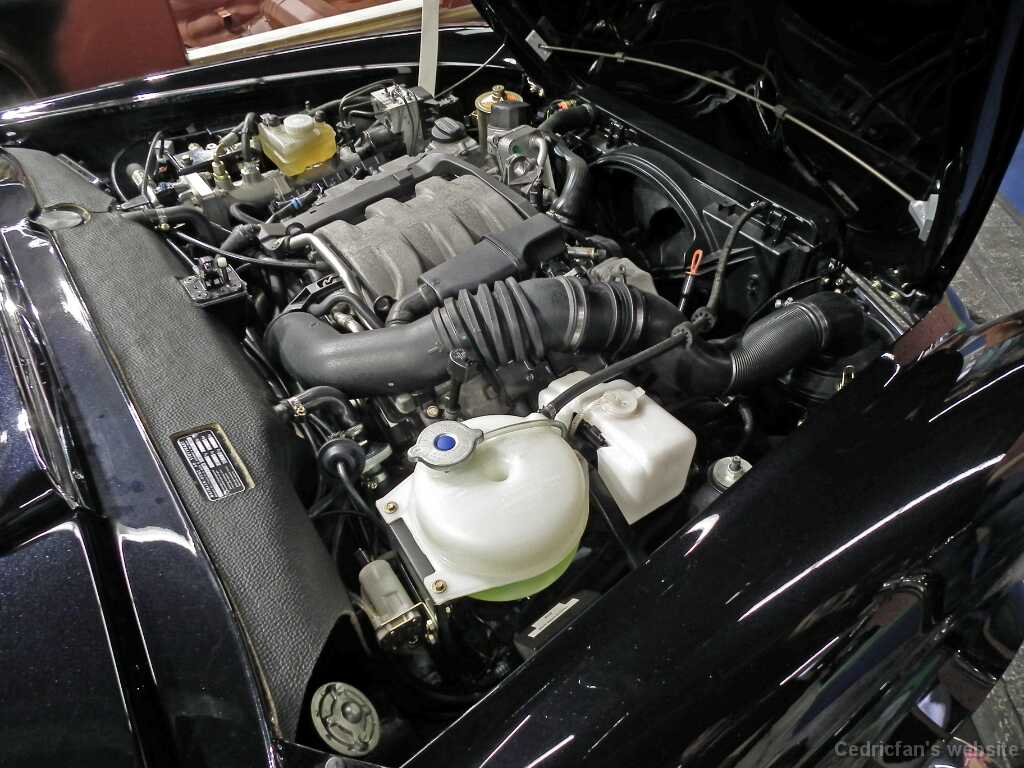 DSCF7909