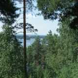 DSCF6821