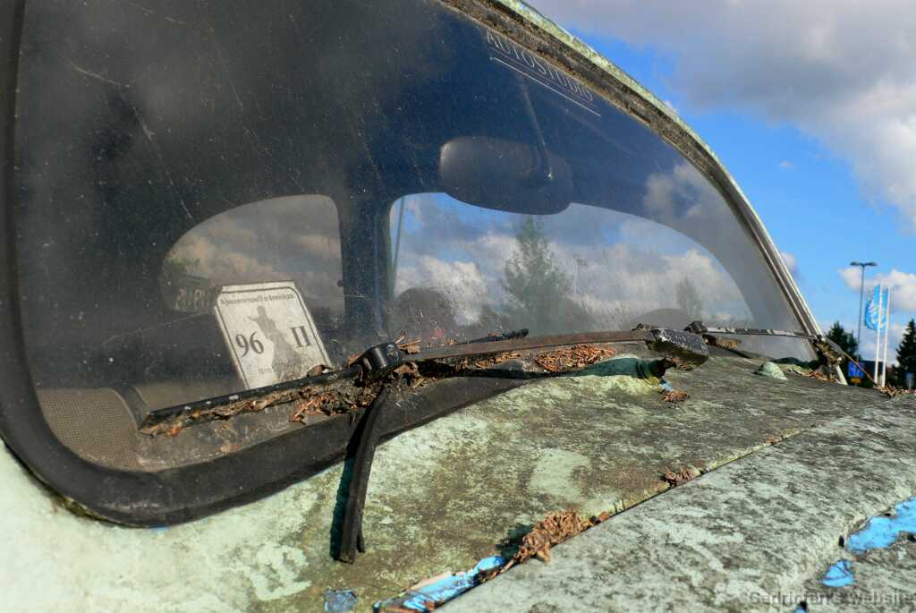 P1010228