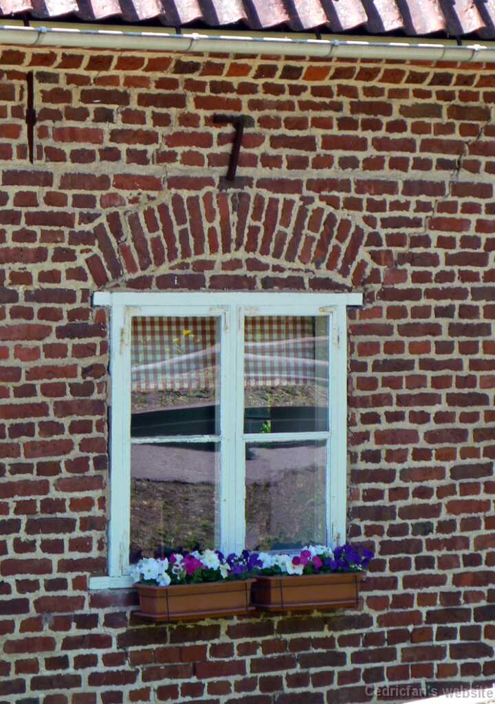 P1010495