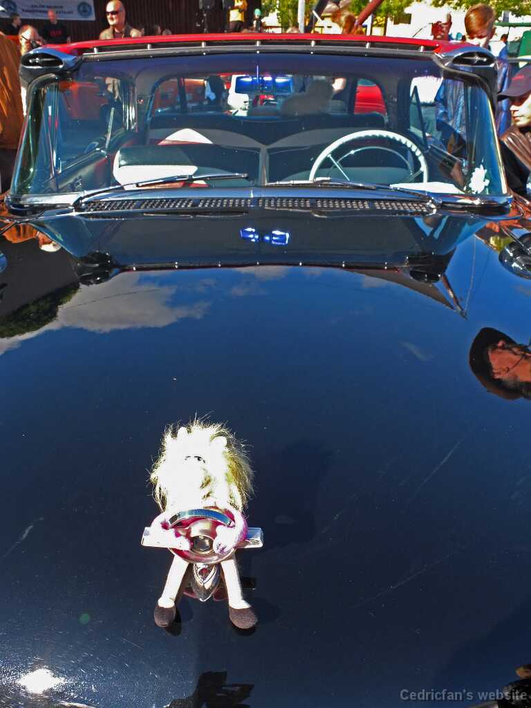 DSCF3981