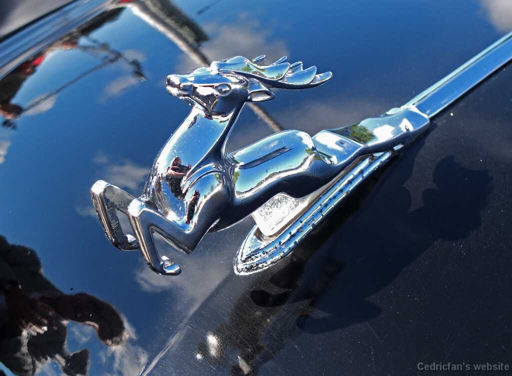 DSCF3987