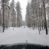 IMG_20230304_114747
