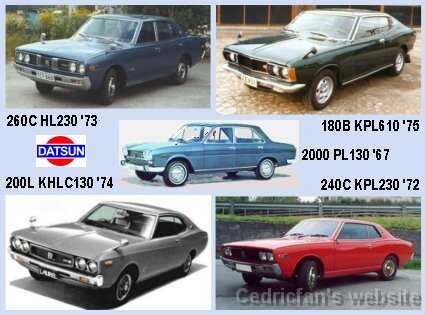 DatsunFleetNet2002