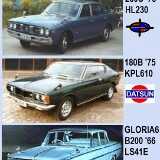 DatsunFleetNet2006