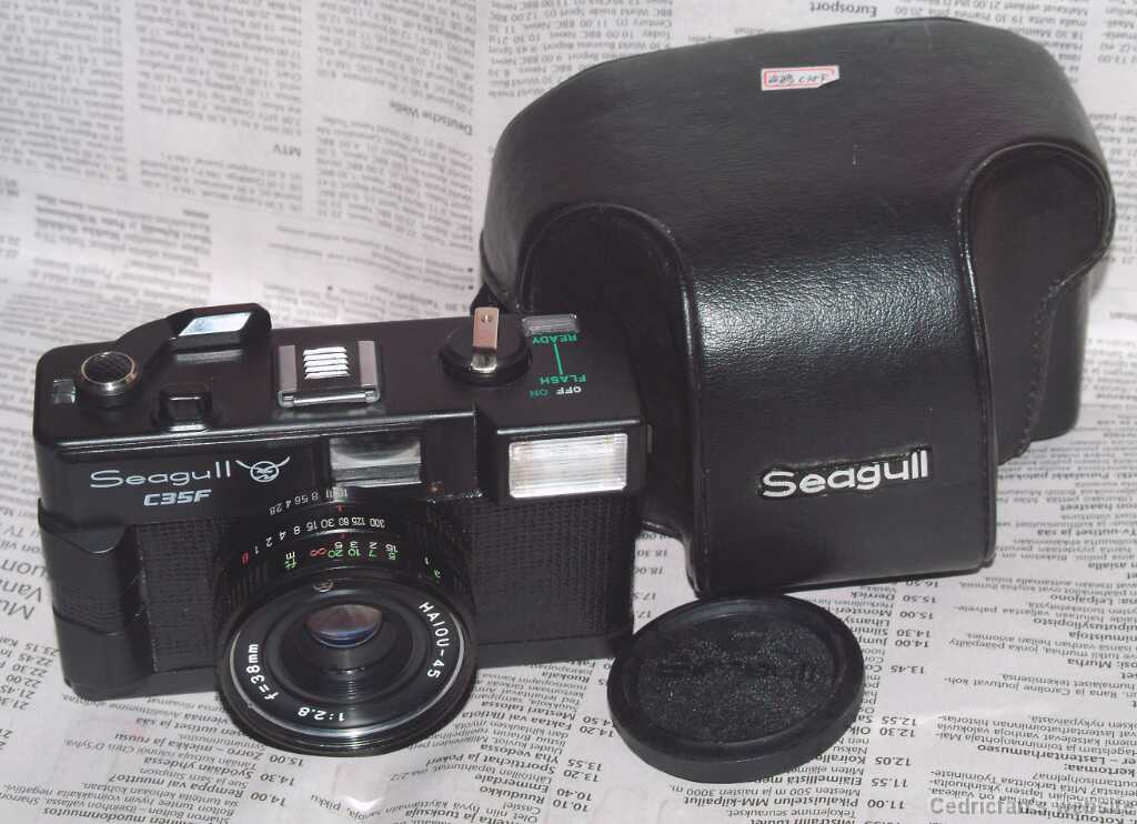 SeagulC35Fa