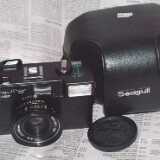 SeagulC35Fa