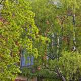 IMG_20250518_110607