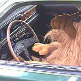 06_ALF_in_610