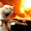 xFireCat