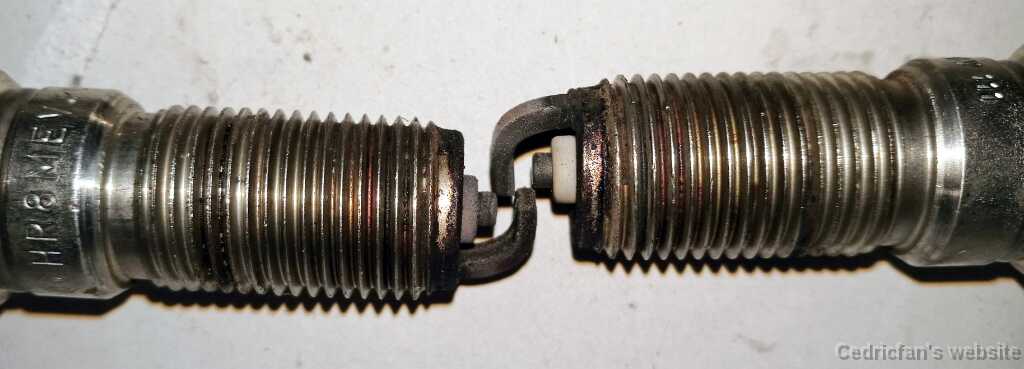 FiestanTulpat (2)