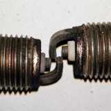 FiestanTulpat (2)
