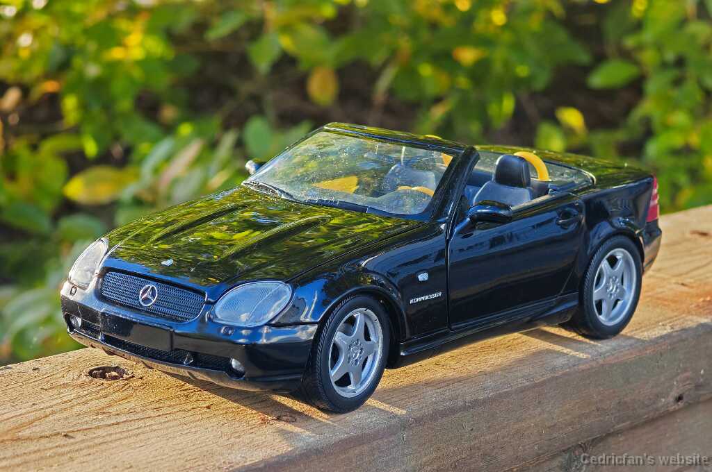 SLK_bigscale (5)