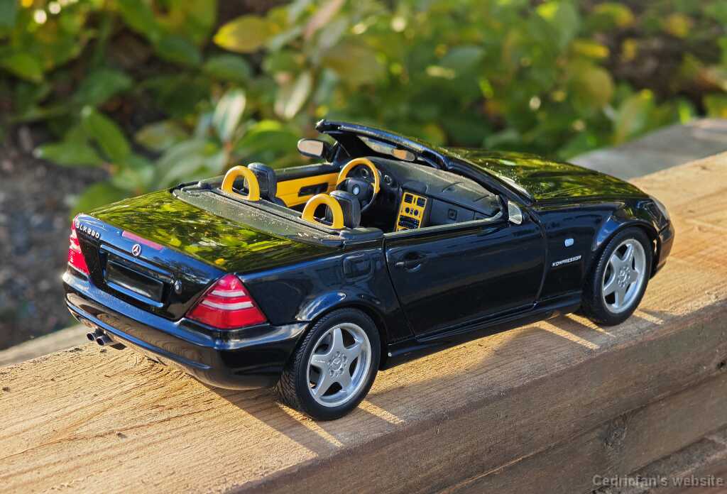 SLK_bigscale (6)