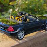 SLK_bigscale (6)