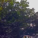 0907_kiilto