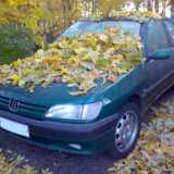 2009_10_11