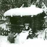 FAUNI_TROLLS_IN_TROLLFOREST_winter_1966