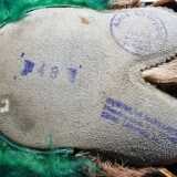IMG_20240228_070226