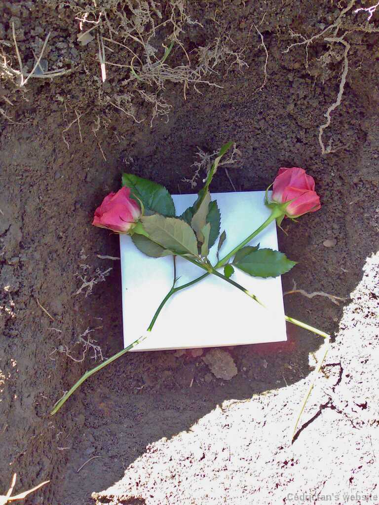 00_inmemoriam_11042009