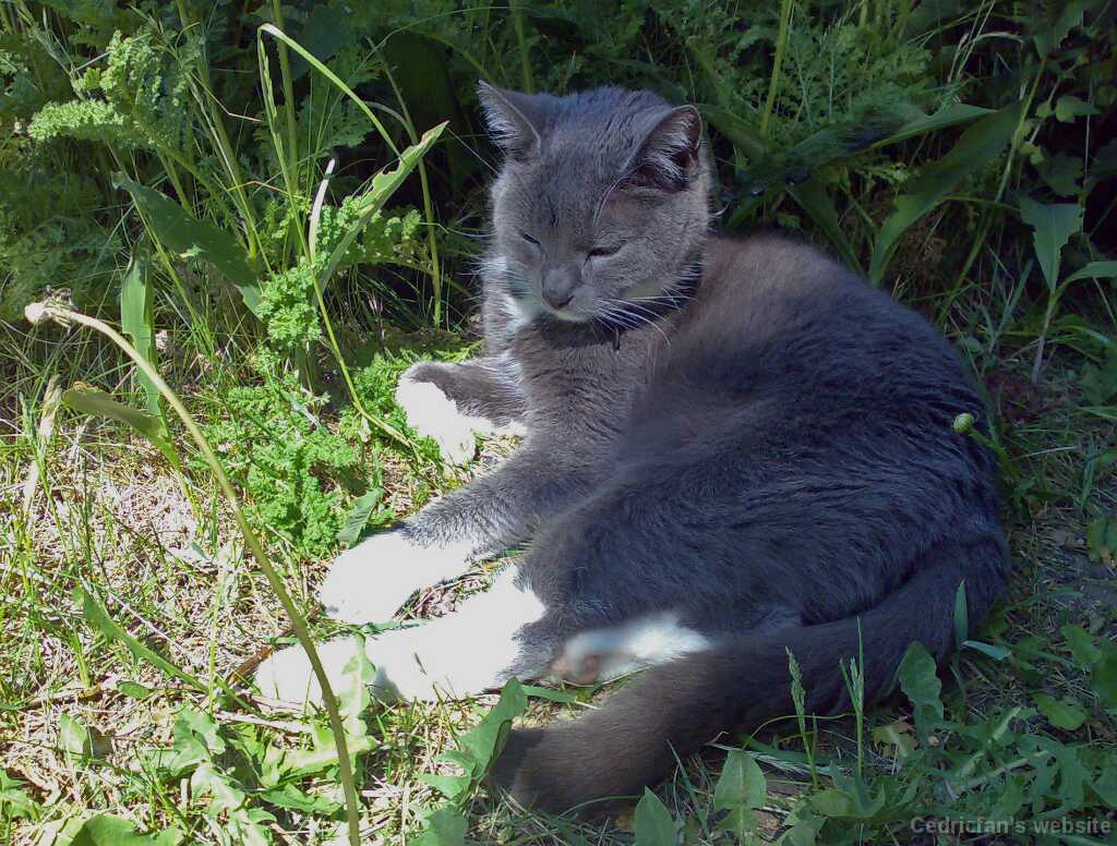 08_06_2008b