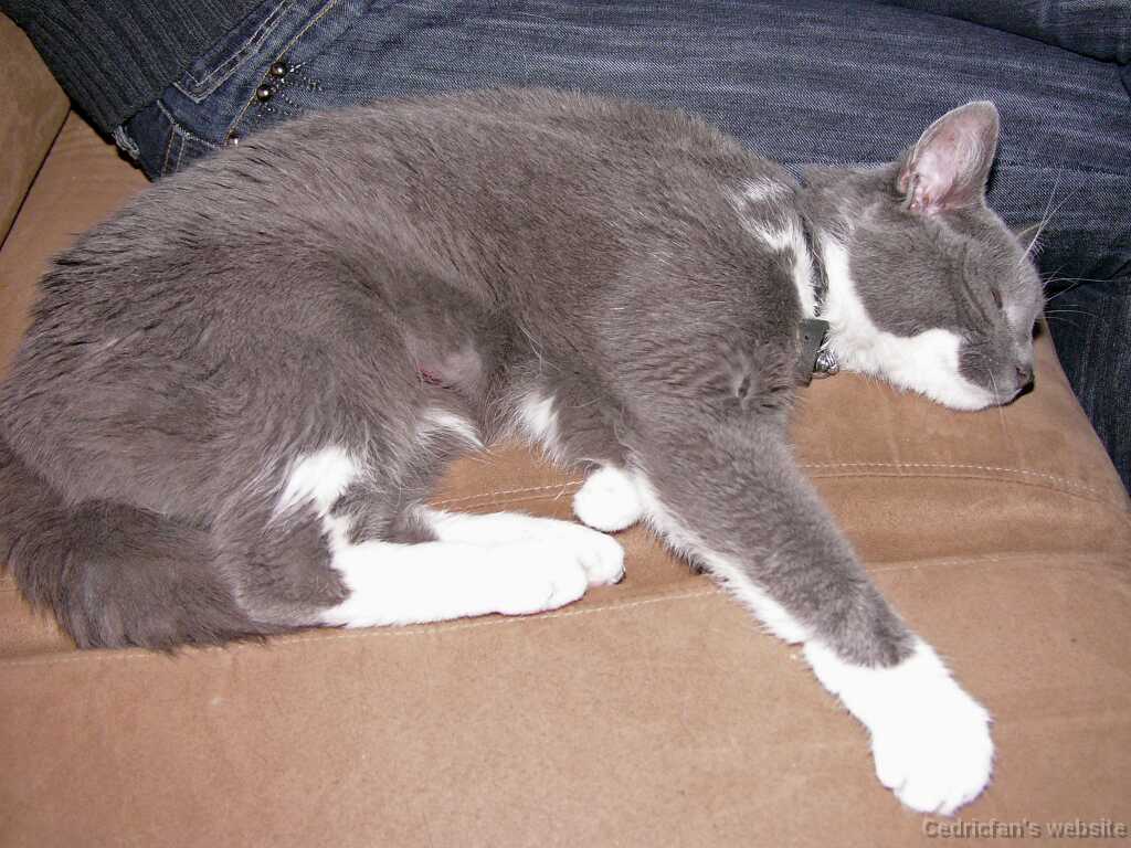 09_03_At_sofa