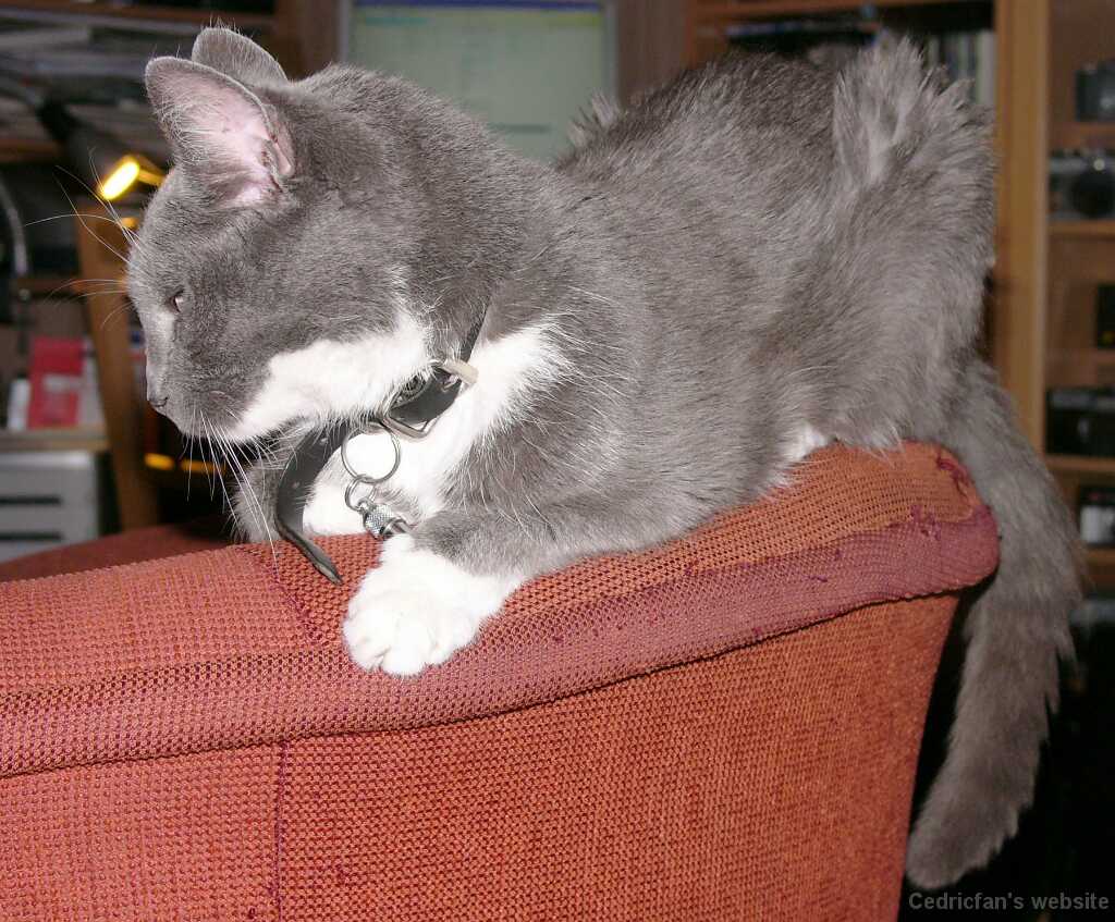 09_03_OnSofa _2