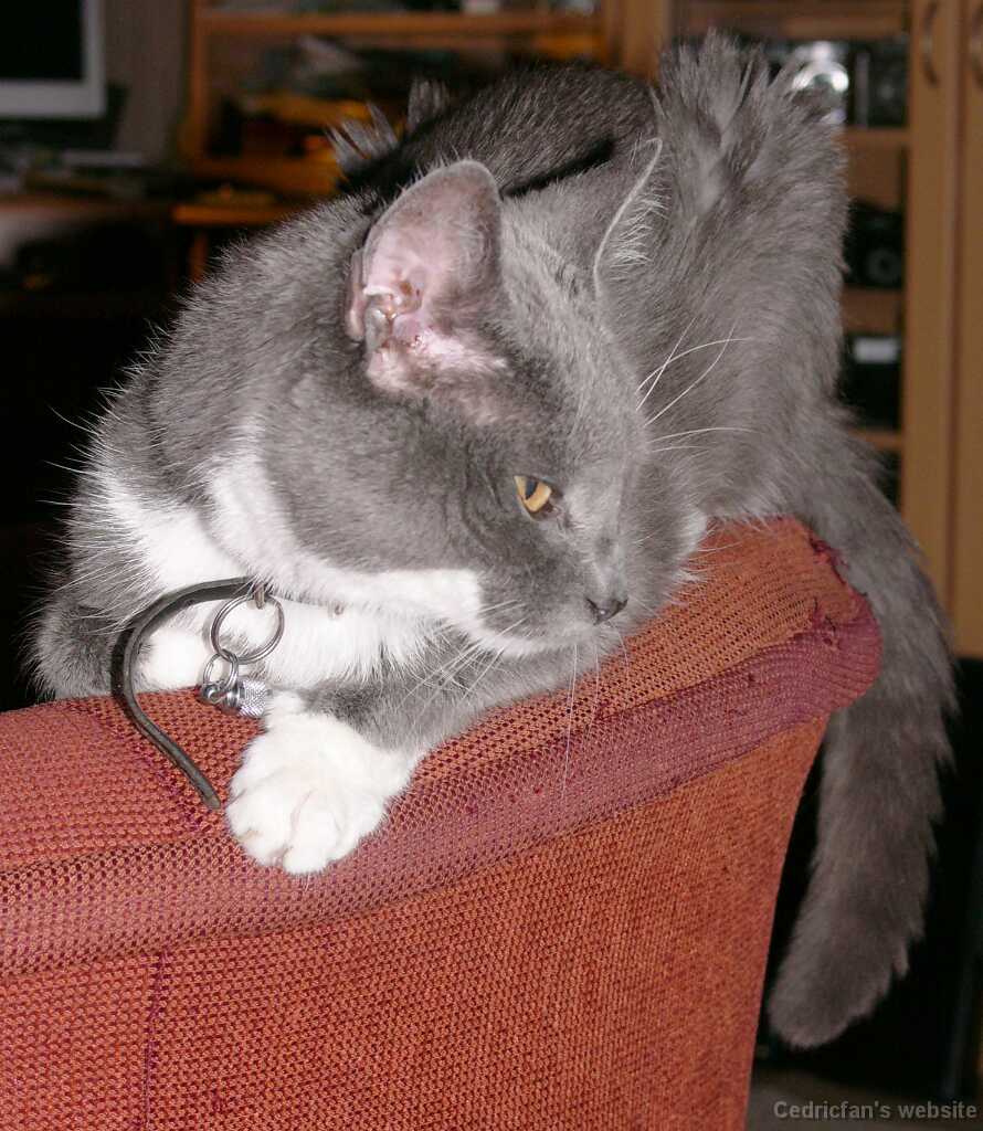 09_03_OnSofa _3